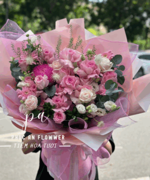 An Nhiên Mỗi Ngày