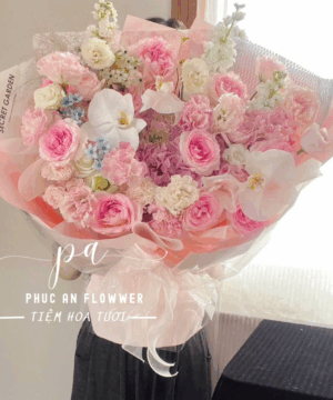 Mơ Hồng Trong Nắng