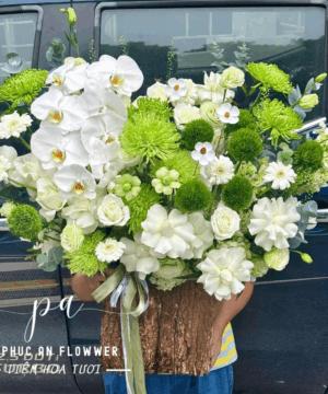 Sắc Nắng Yêu Thương