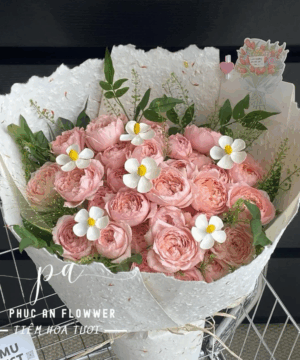 Hồng Phấn An Nhiên