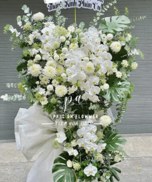 Niềm Đau Chia Sẻ