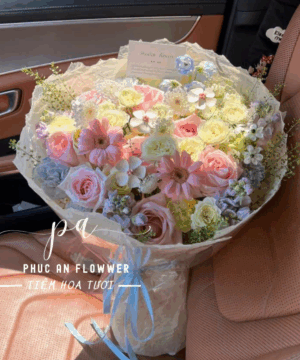 Bình Yên Ghé Thăm