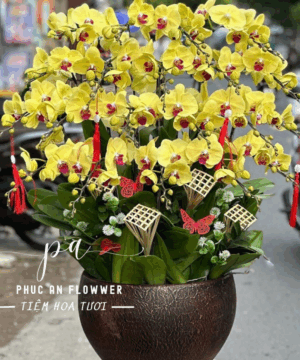 Kim Phát Lộc Vàng