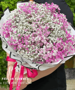 bó hoa baby hồng trắng đẹp, hoa baby hồng tặng sinh nhật, bó hoa baby hai màu hồng trắng, hoa baby lãng mạn tặng người yêu, bó hoa baby hồng sang trọng, hoa baby đẹp ý nghĩa, bó hoa baby hồng trắng nổi bật