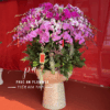 chậu lan hồ điệp to cánh tím nhạt cao cấp - Hoa Tươi Phúc An