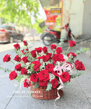 giỏ hoa hồng đỏ đẹp, giỏ hoa sinh nhật hoa hồng đỏ, giỏ hoa tươi lãng mạn, giỏ hoa chúc mừng sang trọng, giỏ hoa hồng đỏ ý nghĩa, giỏ hoa tươi cao cấp, giỏ hoa tặng người yêu, giỏ hoa hồng đỏ đẹp tự nhiên