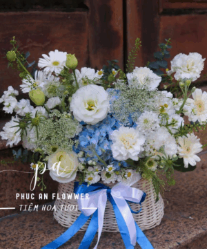 giỏ hoa sinh nhật trắng xanh cẩm tú cầu nhẹ nhàng sang trọng - Hoa Tươi Phúc An