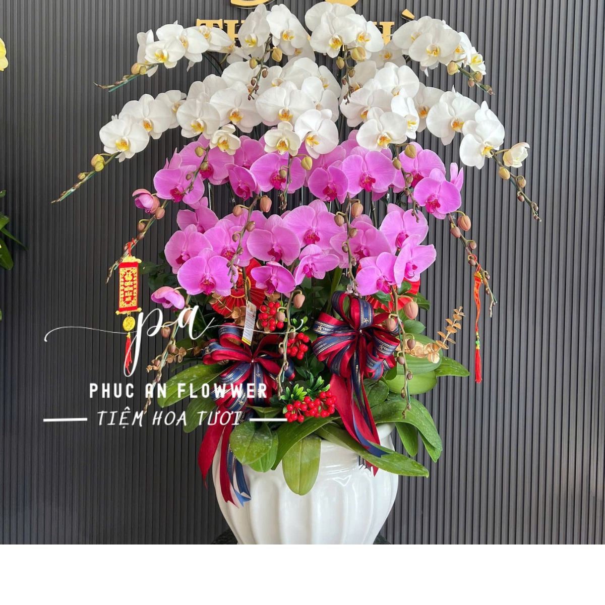 chậu lan hồ điệp mix tông tím + trắng - Hoa Tươi Phúc An