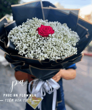 Bó hoa baby trắng cao cấp, hoa hồng đỏ trung tâm, hoa tỏ tình lãng mạn, hoa kỷ niệm tình yêu, hoa xin lỗi tinh tế, bó hoa tone đen sang trọng hiện đại