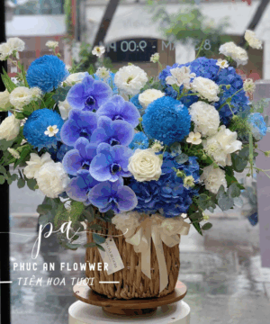 giỏ hoa lan hồ điệp xanh cẩm tú cầu xanh sang trọng tinh tế tặng sinh nhật chúc mừng - Hoa Tươi Phúc An