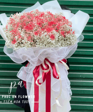Bó hoa baby trắng phối hồng phấn dáng tròn lớn, gói voan trắng và ruy băng đỏ nổi bật, hoa tặng sinh nhật kỷ niệm lãng mạn tinh tế