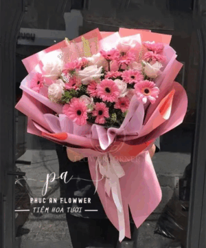 bó hoa đồng tiền hồng đẹp, bó hoa đồng tiền hồng sinh nhật, bó hoa đồng tiền hồng tươi tắn, bó hoa đồng tiền hồng tặng bạn gái, bó hoa đồng tiền hồng lãng mạn, hoa đồng tiền hồng trẻ trung, bó hoa đồng tiền hồng hiện đại