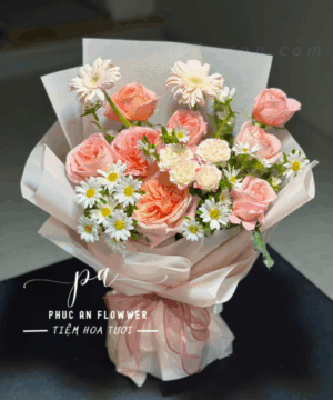 Bó hoa hồng cam đào phối cúc tana trắng đẹp nhẹ nhàng